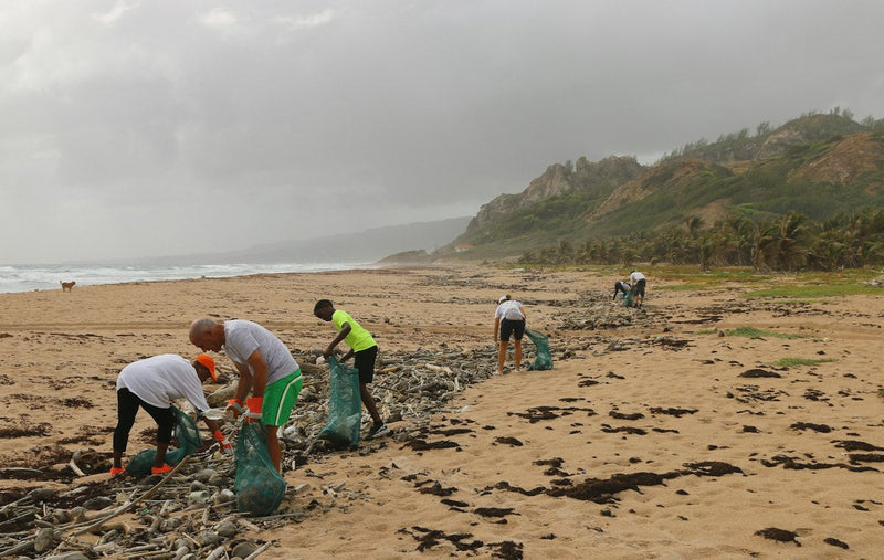 Keeping plastic off our coastline starts at the sink